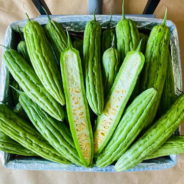 Bitter Gourd Balsam Pear Box 16 Pounds